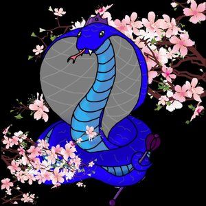 Meet your Posher, CobratCreations